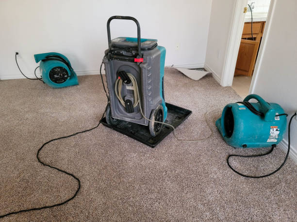 Best Carpet water damage restoration  in Selmer, TN