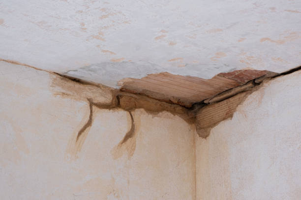 Reliable Selmer, TN Water damage restoration Solutions