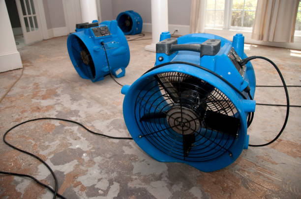 Carpet water damage restoration in Selmer, TN