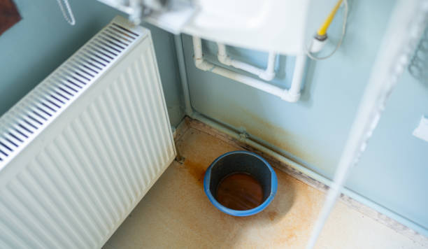 Best Flooded house restoration  in Selmer, TN